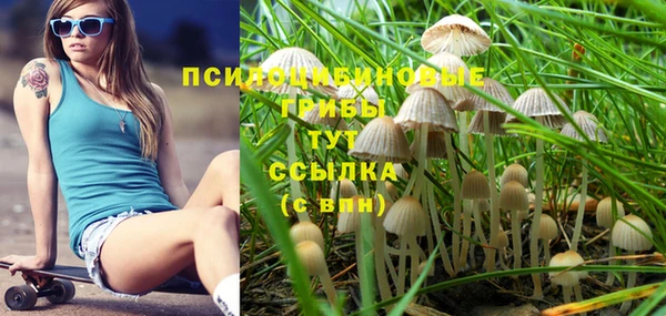 mdma Ельня