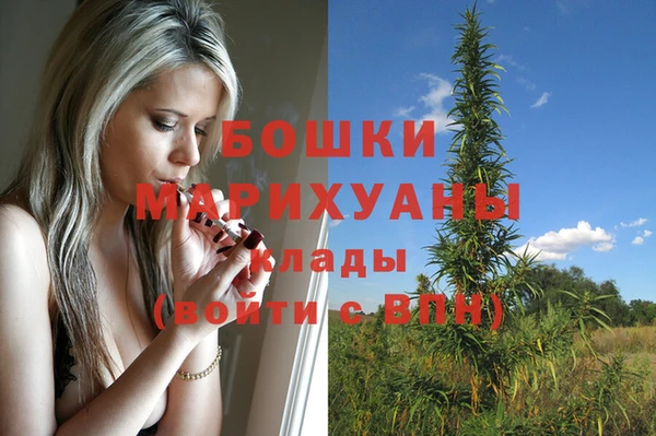 mdma Ельня