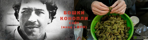 mdma Ельня