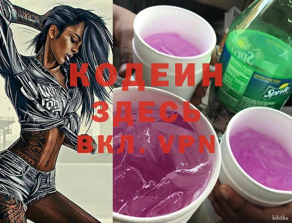мет Елабуга