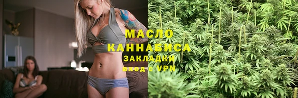 мет Елабуга