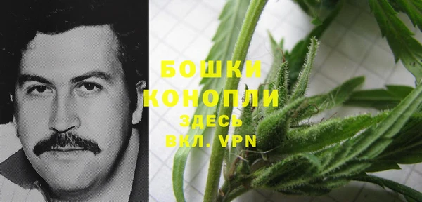 mdma Ельня