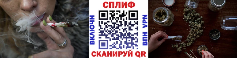 как найти закладки  Светогорск  Бошки Шишки Bruce Banner 